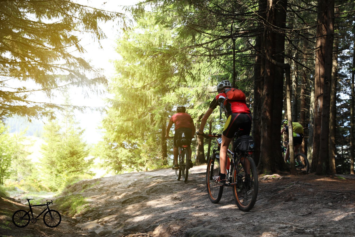 Balade en VTT