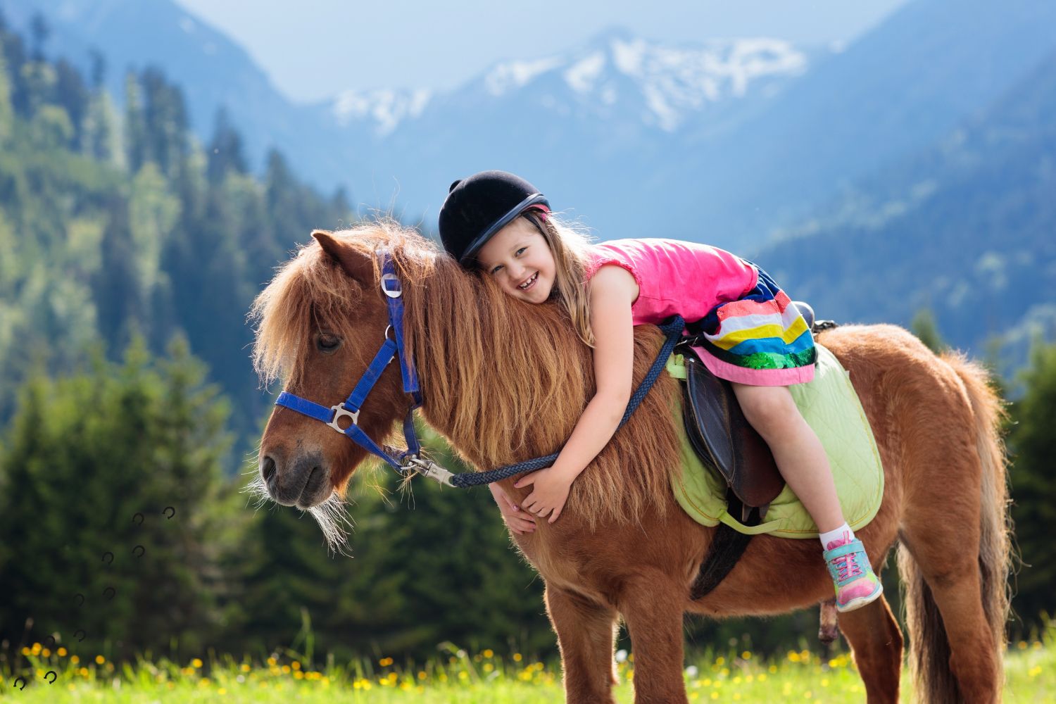 Balade à poney